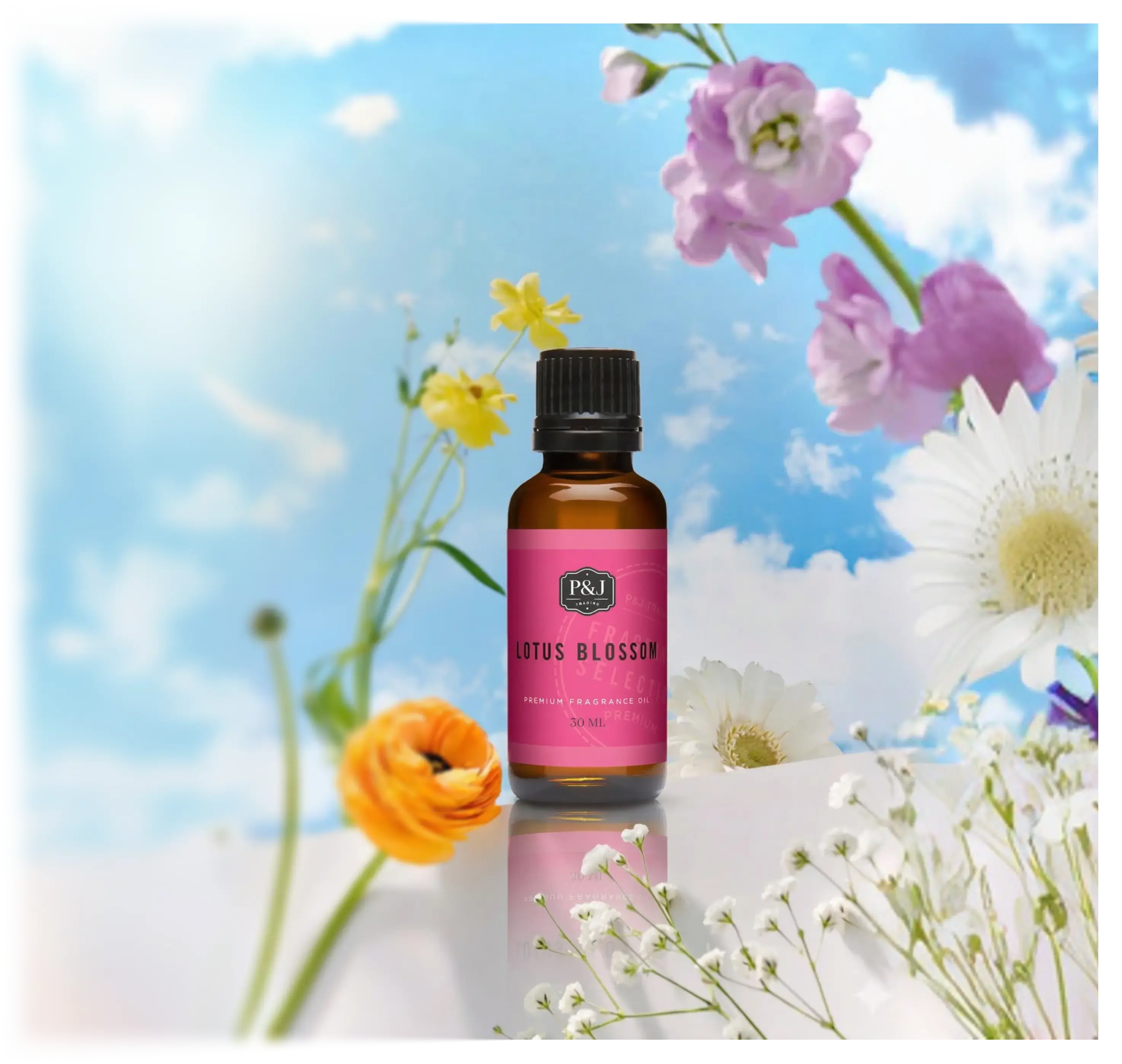 Spring Collection Image